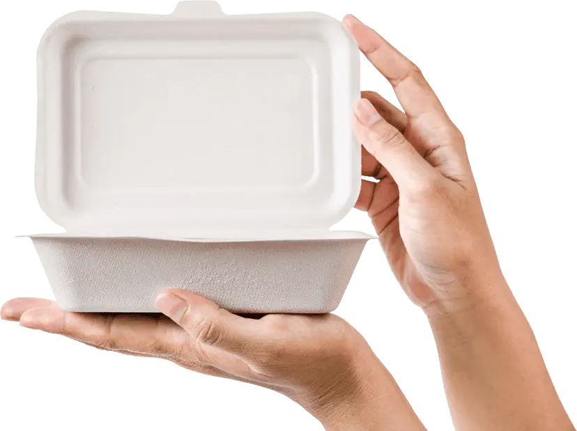 Hands holding bagasse container